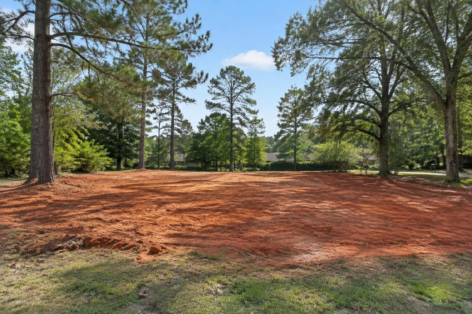 Rendering of a cleared residential lot among mature Alabama pines and oaks